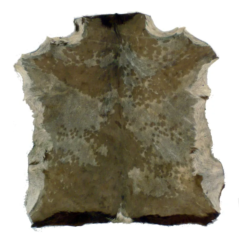 Peau Djembe Yoman Chevre Rasee