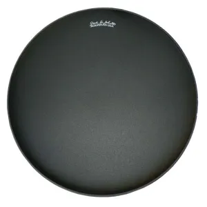 AQUARIAN Jack De Johnette 14"