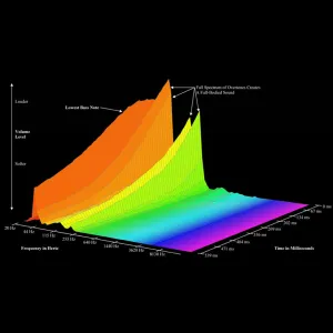 REMO Powerstroke Pro 24" Bass Coated