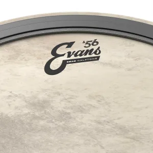 EVANS Calftone 16" Bass EMAD