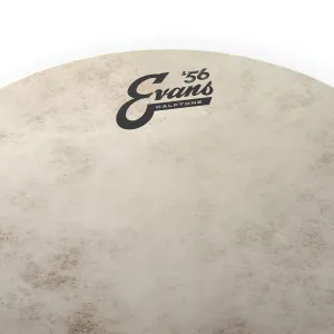 EVANS Calftone 13"