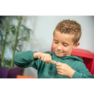 Appeau Fuzeau Rossignol