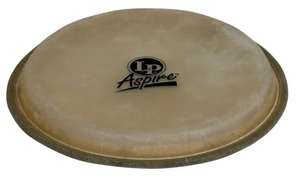 Produit Peau Bongo LP 8" Aspire- Lpa663B Image